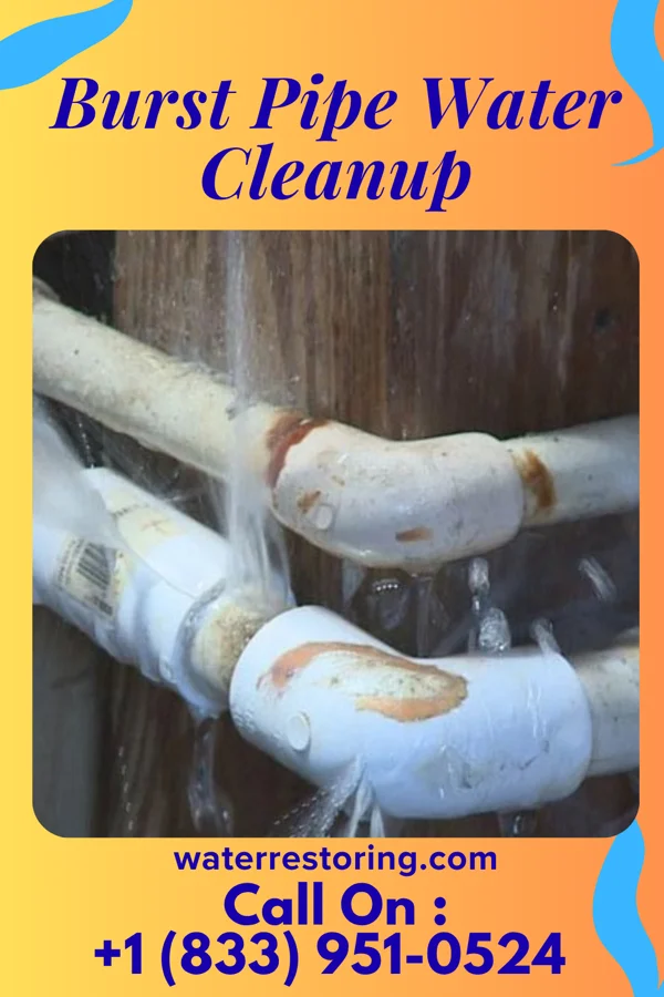 Burst Pipe Water Cleanup in Leadville, CO